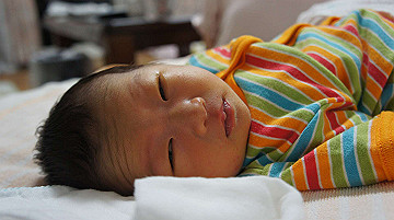 dsc07813_thumb.jpg