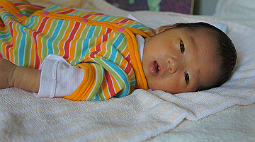 dsc07825_thumb.jpg