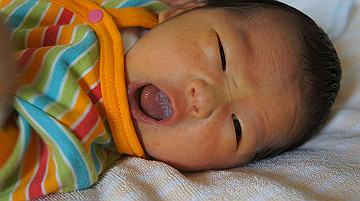 dsc07826_thumb.jpg