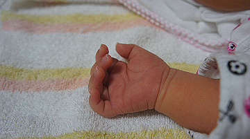 dsc07843_thumb.jpg