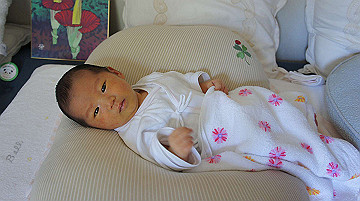 dsc07854_thumb.jpg