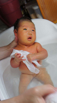 dsc07887_thumb.jpg