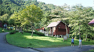 dsc08537_thumb.jpg