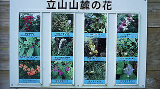 dsc08538_thumb.jpg