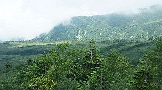 dsc08554_thumb.jpg