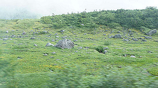 dsc08555_thumb.jpg