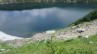 dsc08583_thumb.jpg