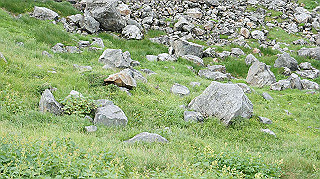 dsc08603_thumb.jpg