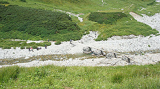 dsc08656_thumb.jpg
