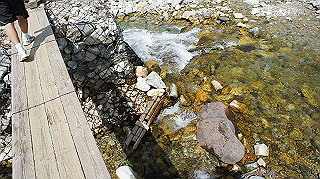 dsc08660_thumb.jpg