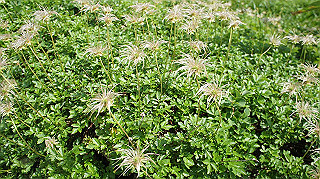 dsc08666_thumb.jpg
