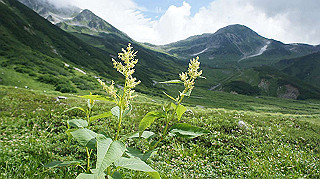 dsc08667_thumb.jpg