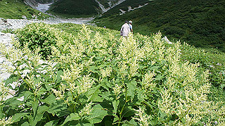dsc08668_thumb.jpg