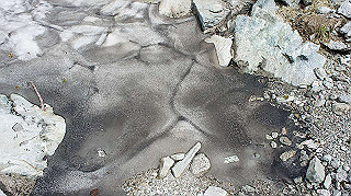 dsc08674_thumb.jpg