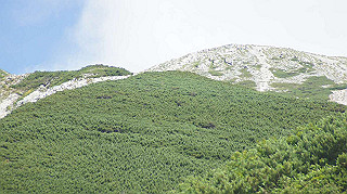 dsc08684_thumb.jpg