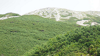 dsc08687_thumb.jpg