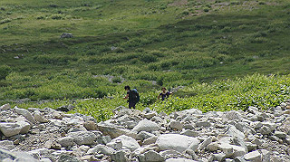 dsc08694_thumb.jpg