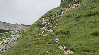 dsc08698_thumb.jpg