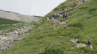 dsc08699_thumb.jpg