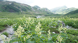 dsc08709_thumb.jpg