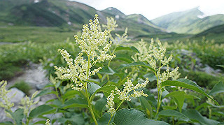 dsc08710_thumb.jpg