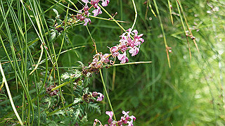 dsc08718_thumb.jpg