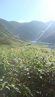 dsc06835_thumb.jpg