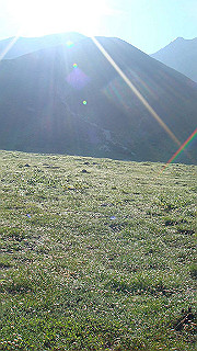 dsc06841_thumb.jpg
