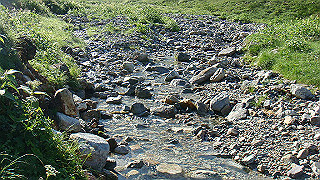 dsc06846_thumb.jpg