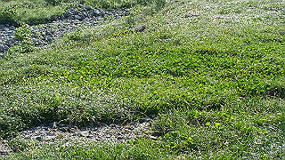 dsc06850_thumb.jpg