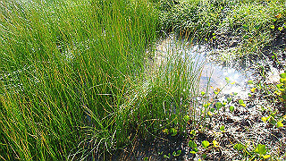 dsc06854_thumb.jpg