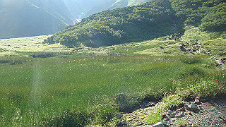dsc06859_thumb.jpg