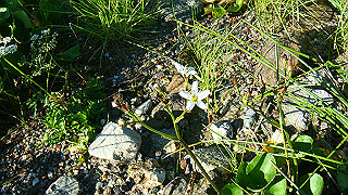 dsc06860_thumb.jpg