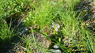 dsc06861_thumb.jpg