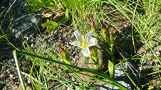 dsc06862_thumb.jpg