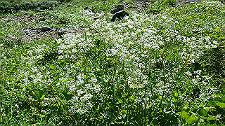 dsc06865_thumb.jpg
