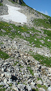 dsc06884_thumb.jpg