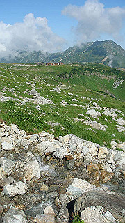 dsc06885_thumb.jpg