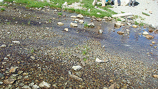 dsc06892_thumb.jpg