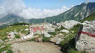 dsc06894_thumb.jpg