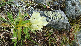 dsc06934_thumb.jpg