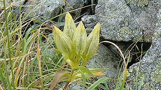 dsc06936_thumb.jpg