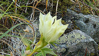 dsc06937_thumb.jpg