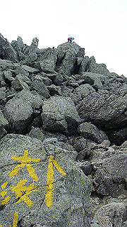 dsc06941_thumb.jpg