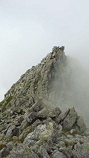 dsc06960_thumb.jpg