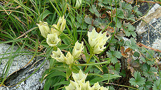 dsc06988_thumb.jpg