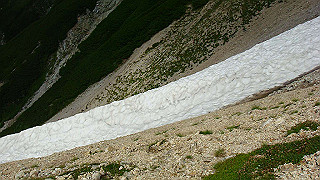 dsc06993_thumb.jpg