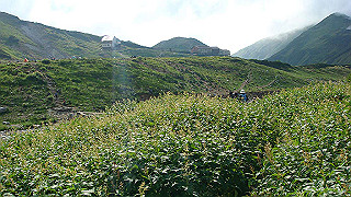 dsc06998_thumb.jpg