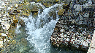 dsc07000_thumb.jpg