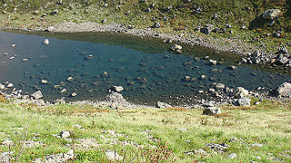 dsc07007_thumb.jpg